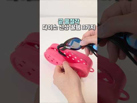 다이소 신상 말랑말랑 휴대용보관함 지금 안 사면 아쉬울 걸요?