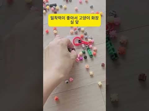 다이소 쓰리잘비 핸디 빗자루 써보니! 고양이 털 청소 고민 해결