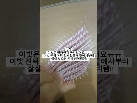 다이소 매장 방문해서 직접 확인한 다이소신상품과 다이소추천템 트렌드