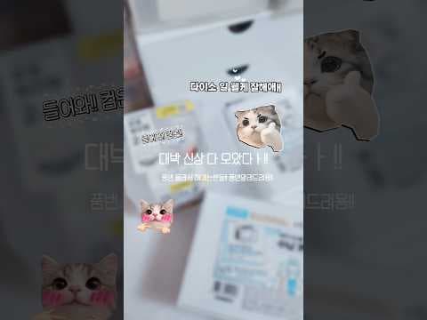다이소 또이소깡 신상 털기! 품절 전에 득템하세요