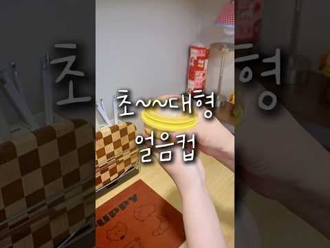 다이소 얼음컵으로 집에서 얼음 만들기! 여름 필수템 DIY