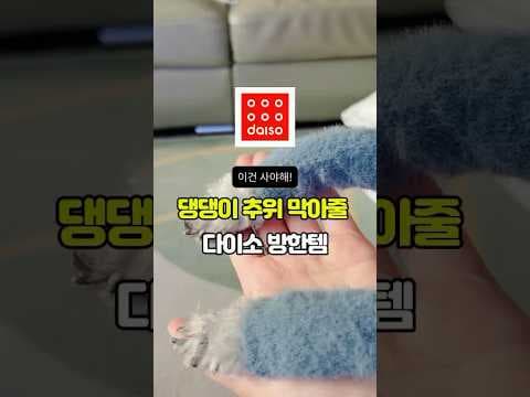 다이소 강아지 방한 용품으로 따뜻한 겨울 산책 준비하기