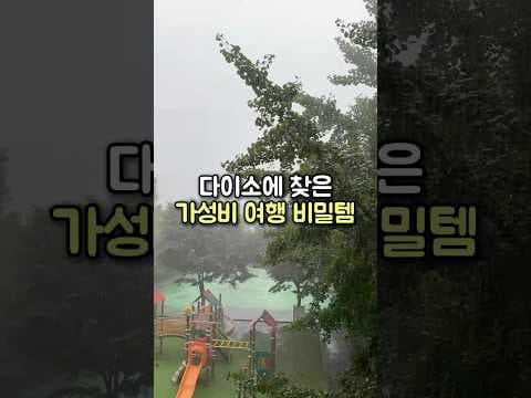 다이소 여행 꿀템! 자동우산, 휴대용 티슈 지금 꼭 챙기세요