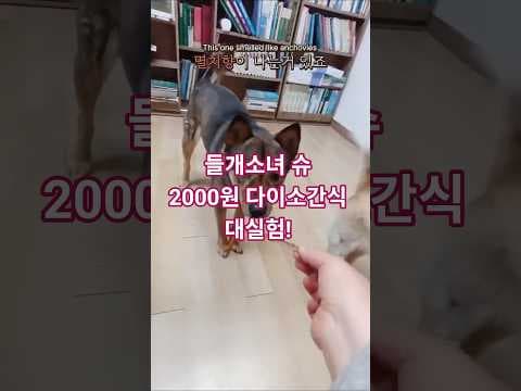 다이소 강아지 간식 장어뼈 2000원! 솔직 후기, 득템 간식?
