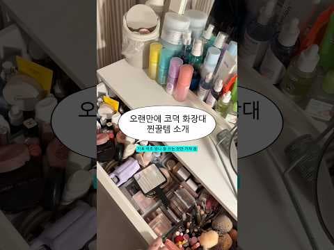 다이소 뷰티 신상 지금 알아둘 필수 화장품