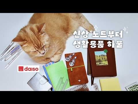 다이소 신상 문구 놓치면 아쉬운 추천 아이템