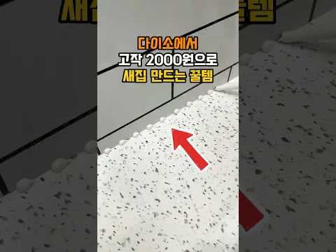 다이소 2천원 줄눈 청소제로 욕실 곰팡이 완벽하게 제거하기