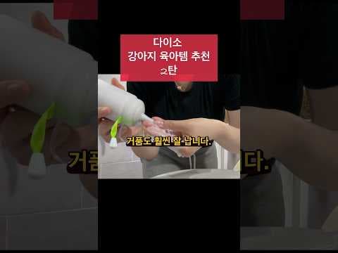 다이소 강아지 꿀템! 미끄럼 방지 시트, 극세사 발수건으로 딱!