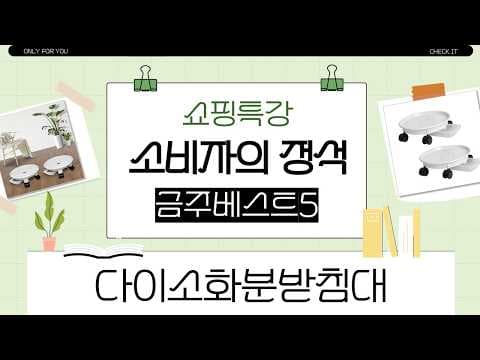 다이소 화분 받침대로 베란다를 싱그럽게! 이동식 정리대 후기