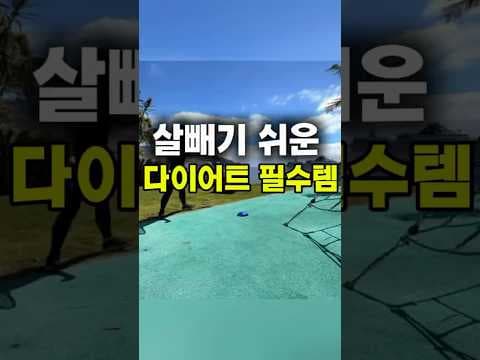 다이소 테니스 연습 용품 써보니 혼자 운동하기 딱!