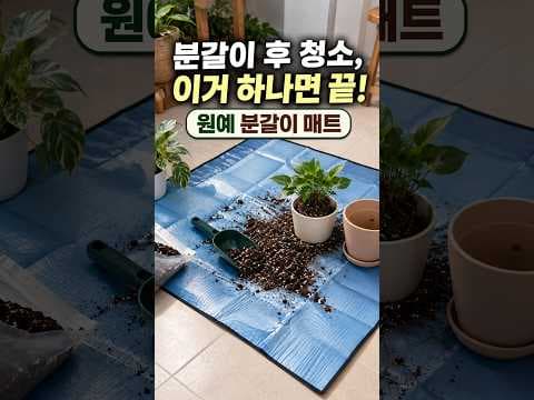 다이소 분갈이매트 활용해 흙 날림 없이 깔끔하게 홈가드닝 즐기는 법