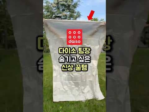 다이소 생활 방수 피크닉 매트 하나면 봄나들이 준비 끝!