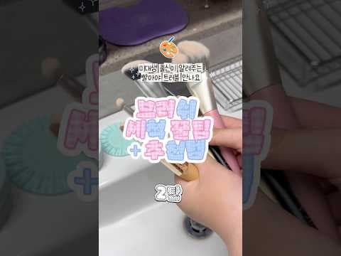 다이소 스튜디오17 브러쉬 세척 비누 써보니! 브러쉬 관리 꿀팁