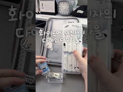 다이소 다꾸용품 하울! 인덱스 노트부터 스티커까지 가성비 득템