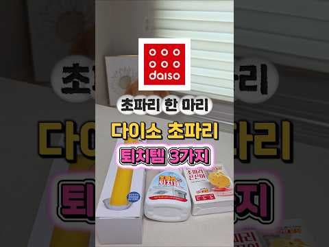 다이소 초파리 퇴치 끈끈이 스프레이 BEST 3 바로 담았어요!