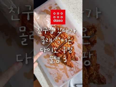 다이소 꿀템! 3구 칫솔 거치대, 다용도 시트, 반숙 계란 타이머 활용법