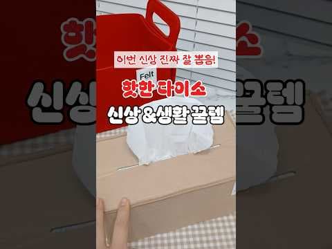 다이소 5월 신상, 예쁜 패트 제품부터 정리정돈 꿀템까지!