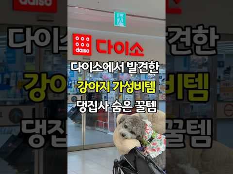 다이소 강아지 꿀템! 냉감 이불, 알약 커터기로 댕댕이 여름나기