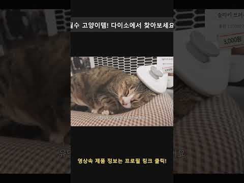 다이소 냥이 집사 필수템! 5천원 팩트하우스, 스크래처 득템 후기