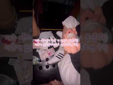 다이소 문구 신상 스케줄러 포함 놓치면 아쉬운 활용법