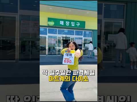 다이소보다 싼 식자재 마트 세일! 양파, 대파 초특가 득템 기회