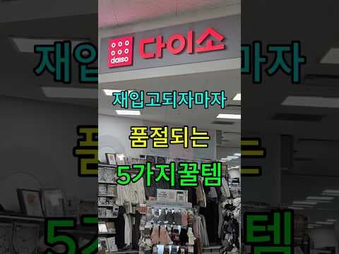 다이소 재입고 꿀템! 없어서 못 샀던 생활용품 득템 찬스