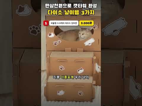 다이소 모듈형 스크래처 하우스로 고양이 공간 꾸미기