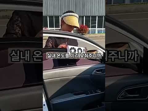 다이소 태양열 자동차 냉각팬 써보니! 찜통 더위 해결템