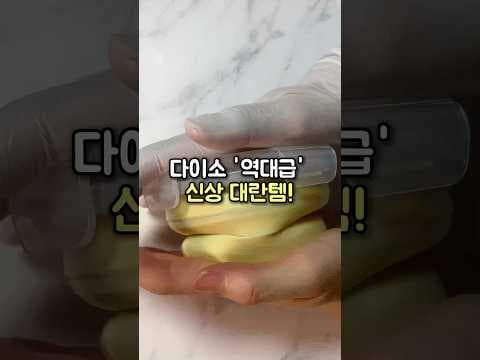 다이소 3단 접이식 용기 & 분리형 컵 써보니! 샐러드 휴대 딱!