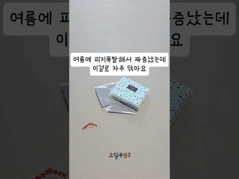 다이소 분리 수납 이중 파우치 공간 활용 최고템 바로 담았어요