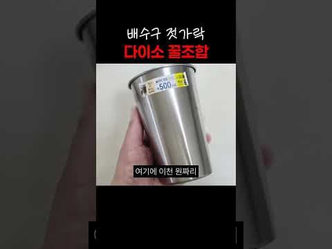 다이소 젓가락 배수구 탈출 방지 꿀템 두 가지 추천