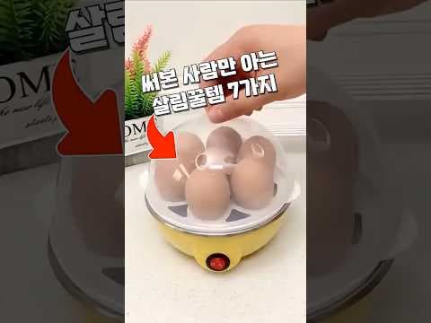 다이소 하수구 배수구망 스티커 바로 담았어요 방충망 보수도 문제없어요